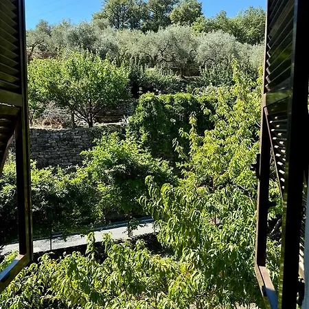 Casa Mimosa דירה *