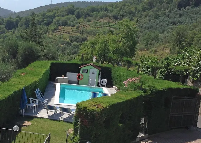 Casa Mimosa